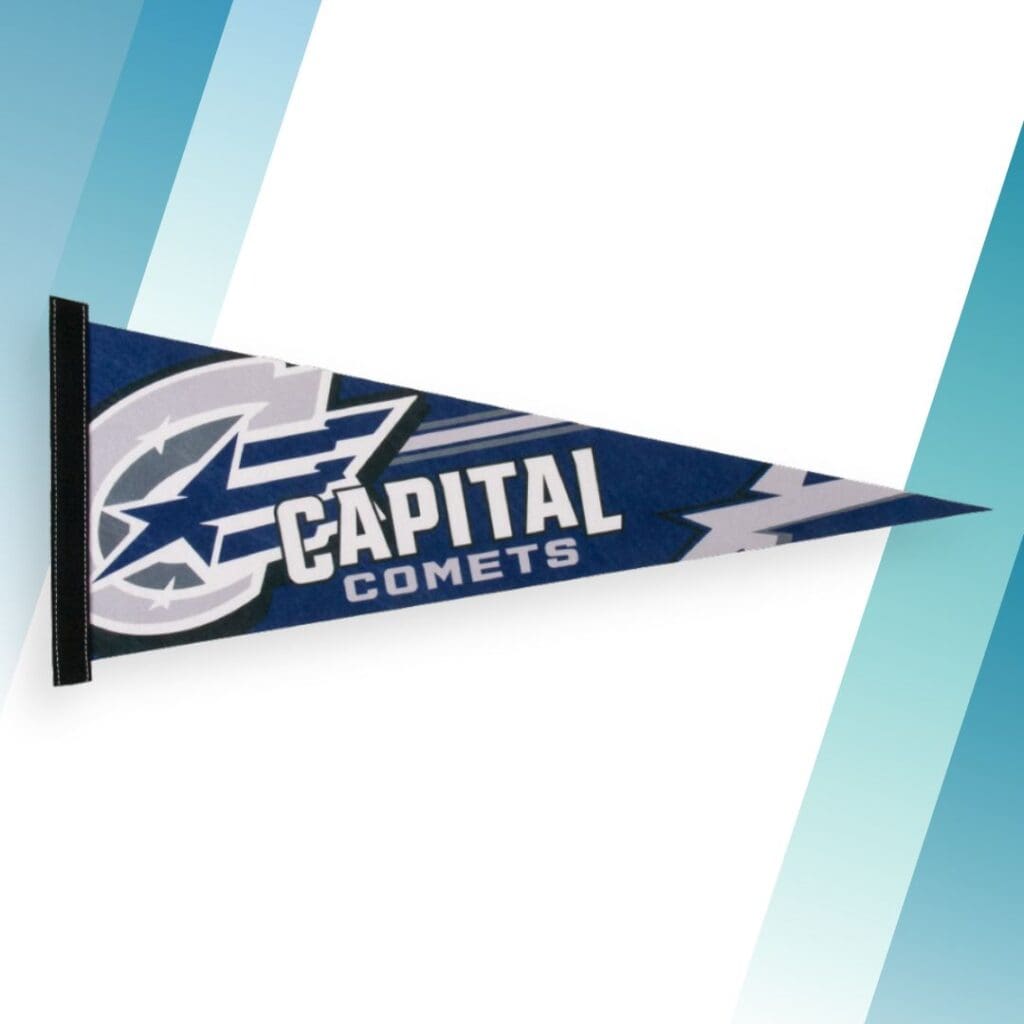 Felt Strip Pennant